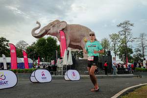 BIB: 
                            <button type="button" onclick="openModal(26528672)" class="btn btn-primary btn-sm float-right btn-popup" data-toggle="modal" data-target=".modal-high-quality">
                        <i class="fas fa-shopping-cart"></i> Add to Cart
                    </button>
                                            <button type="button" onclick="isThisMe(26528672, true)" class="btn btn-success btn-sm float-right btn-popup btn-isme hidden" data-toggle="tooltip" data-placement="bottom" title="นี่คือรูปของคุณใช่ไหม คลิกที่นี่เพื่อเอาเข้าอัลบั้ม">
                        <i class="fas fa-plus"></i> Add to album
                    </button>
                    <button type="button" onclick="isThisMe(26528672, false)" class="btn btn-warning btn-sm float-right btn-popup btn-isnotme hidden">
                        <i class="fas fa-ban"></i> Remove from album
                    </button>